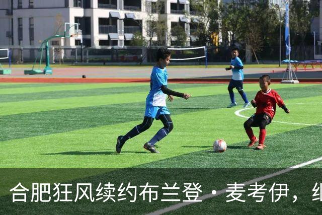 合肥狂风续约布兰登·麦考伊，继续面对新赛季挑战